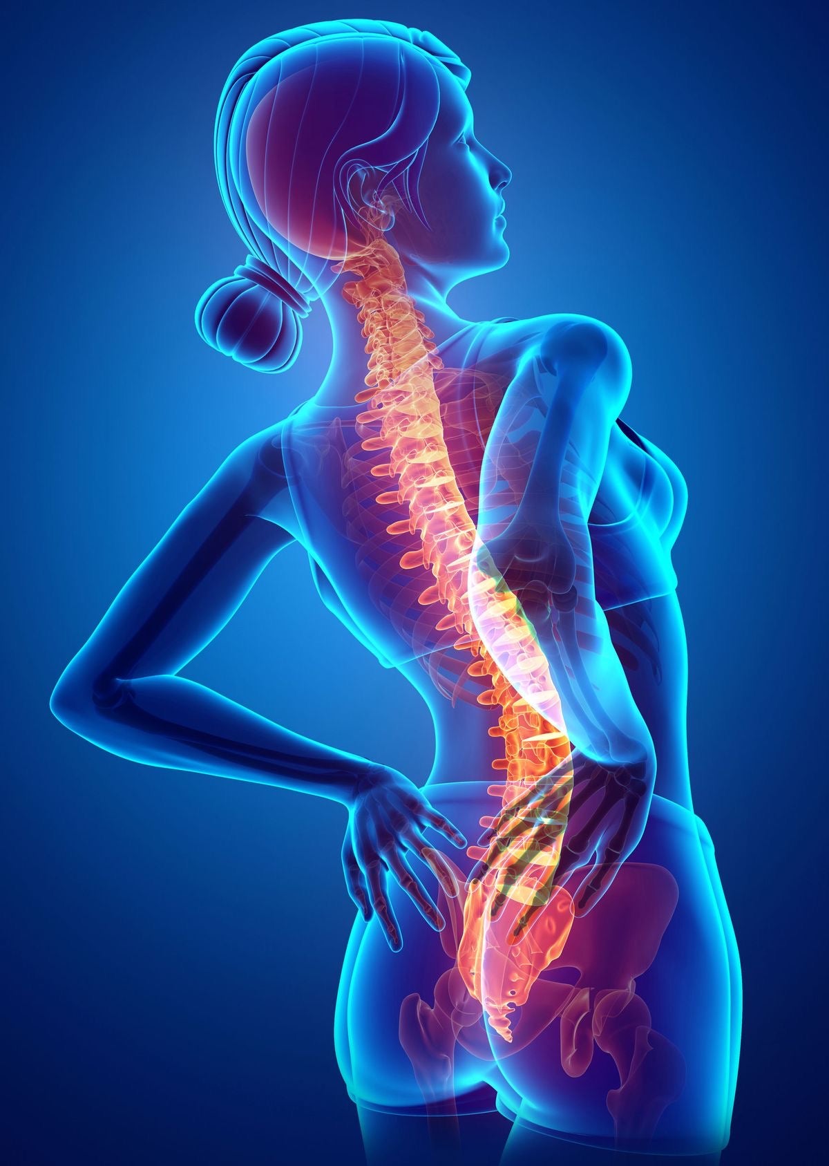 8-week Lower back pain focused exercise program