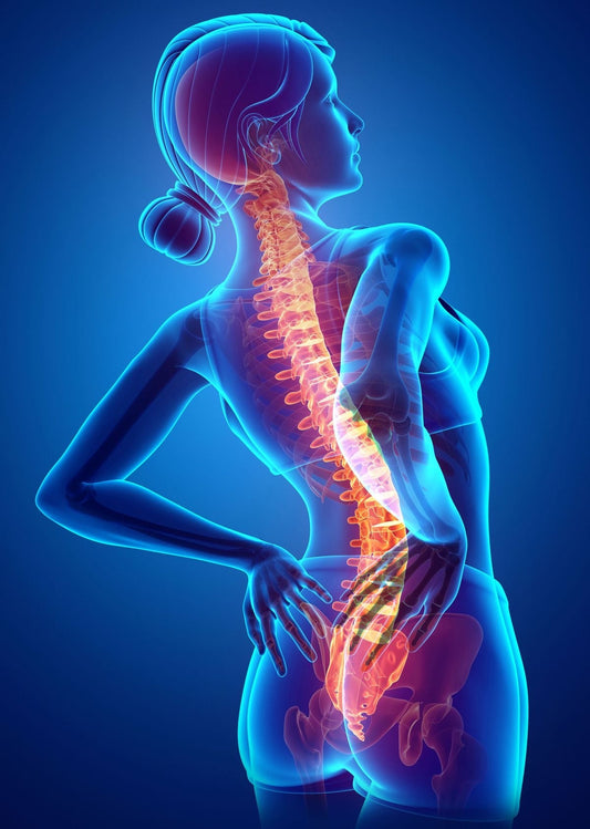 What is Lower back pain? And the Do’s and Don’ts with Exercise